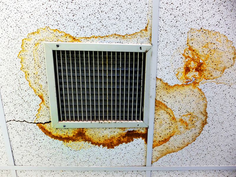 Ceiling Drywall Repair in Wilmington, NC